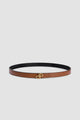 Black Chestnut