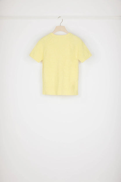 Mimosa